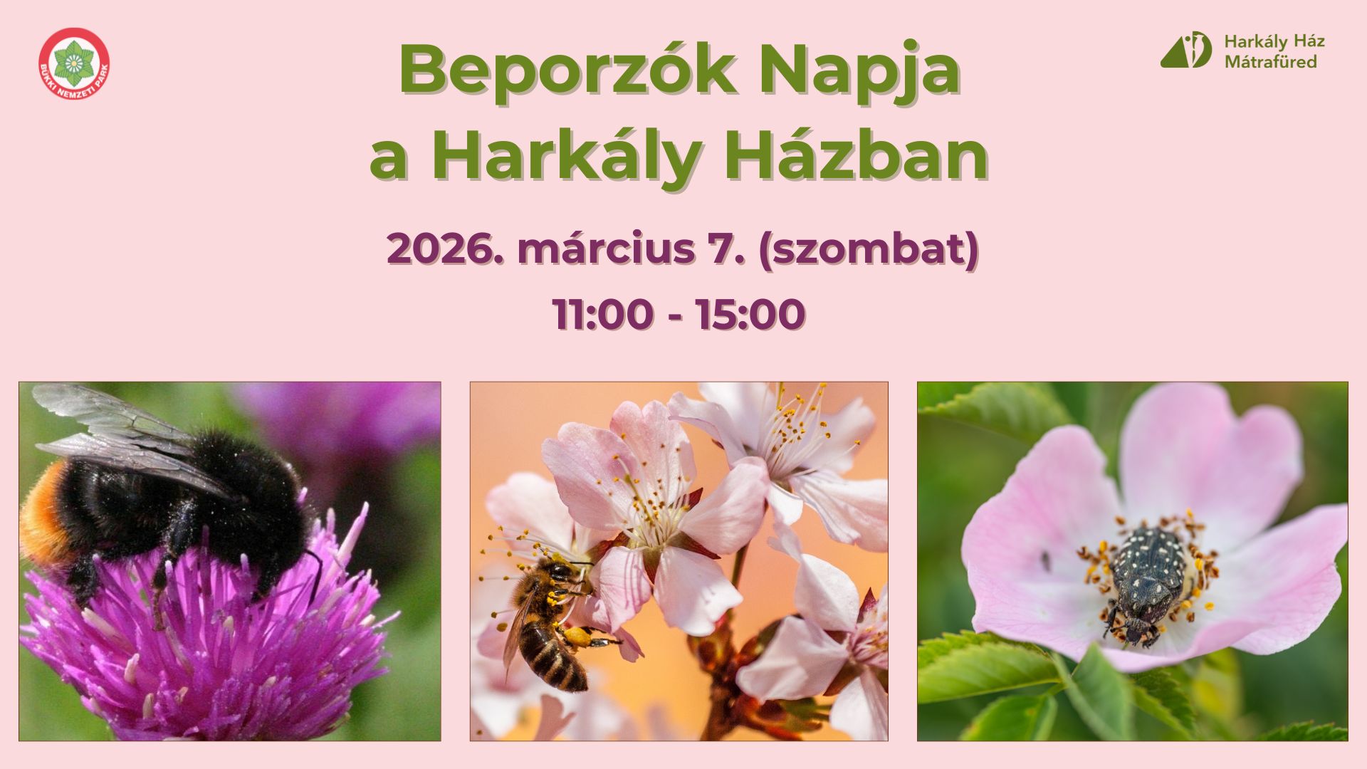 Beporzók Napja_Harkály Ház_borító 2026.jpg